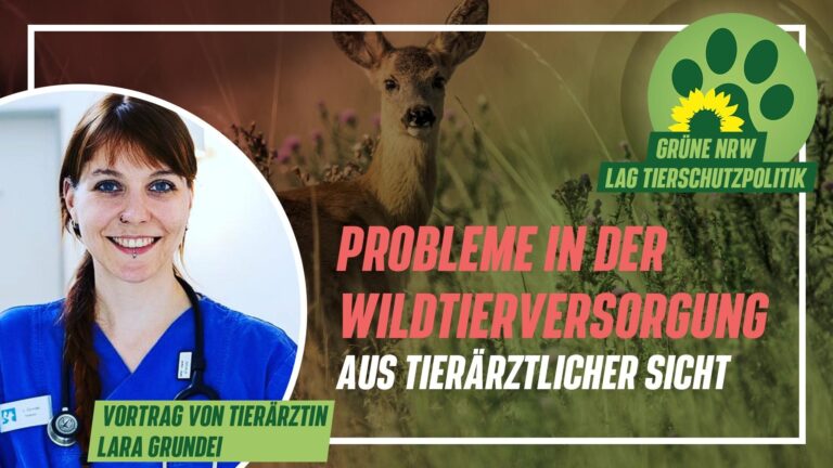 Graf und LAG organisieren weitere Vortragsreihe zur Tierschutzpolitik – aktuelles Thema ist die Wildtierrettung
