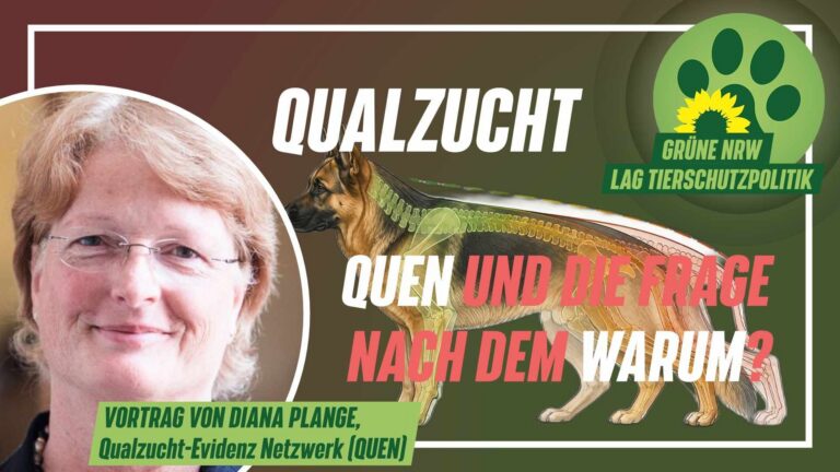 Neue Vortragsreihe zur Qualzucht in NRW ist online